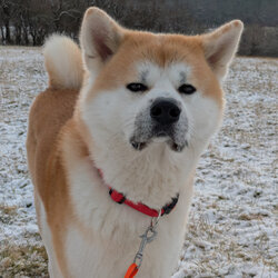 Im Schnee, habt Ihr was?
